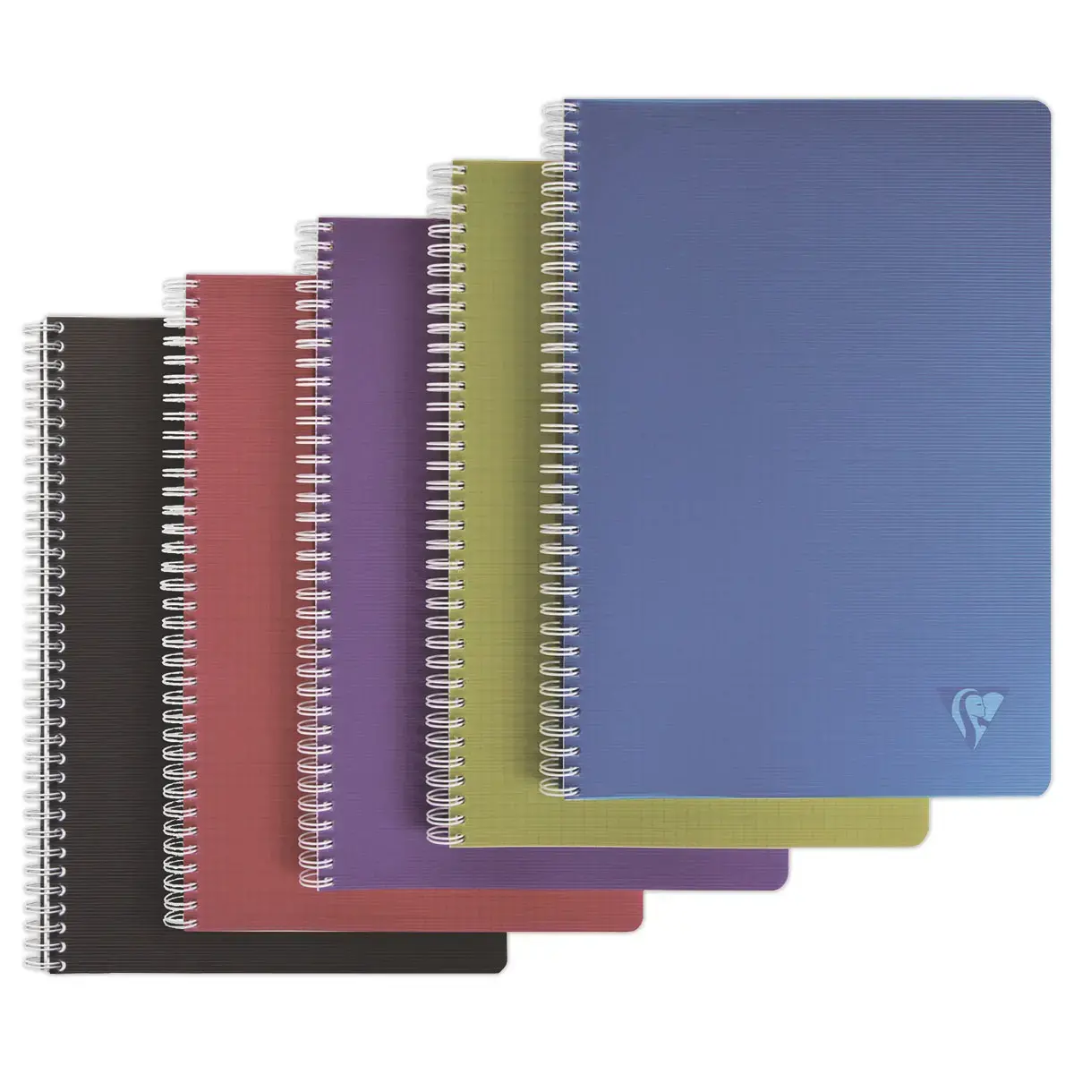Cahier spirale A4 Linicolor Intense - 180 pages - CLAIREFONTAINE 