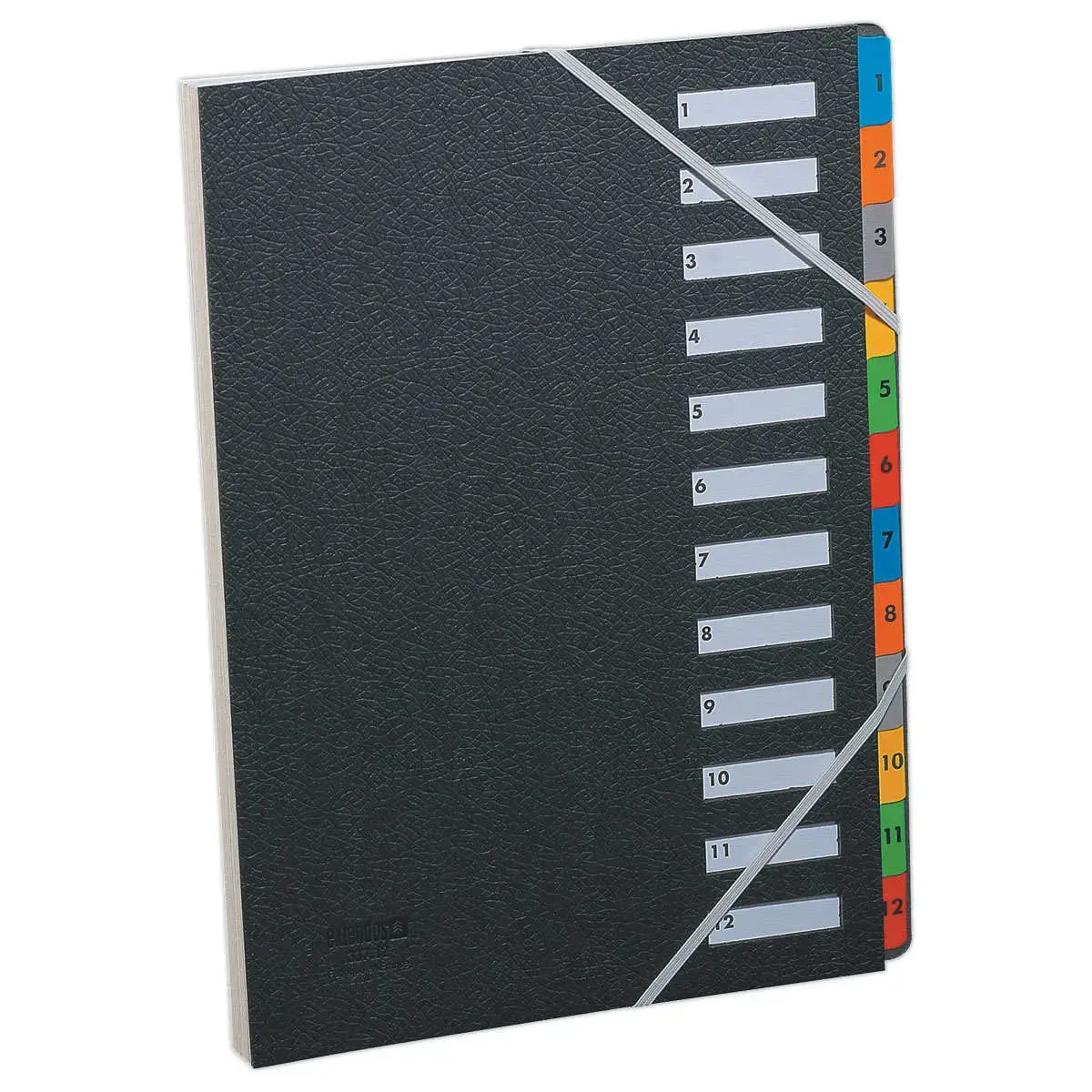 Trieur à élastiques couverture grainée noire - 12 onglets - Extendos