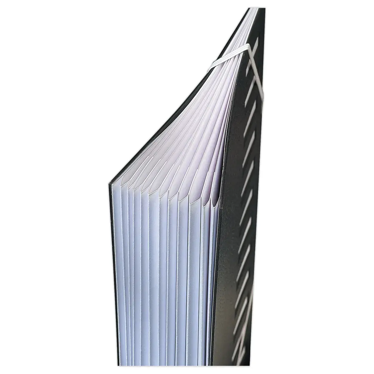 Trieur à élastiques couverture grainée noire - 12 onglets - Extendos