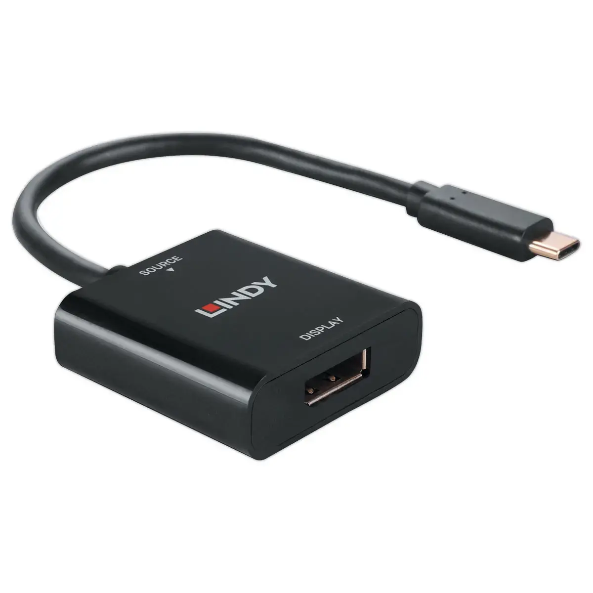 Convertisseur USB Type C vers DisplayPort 4K144 - LINDY