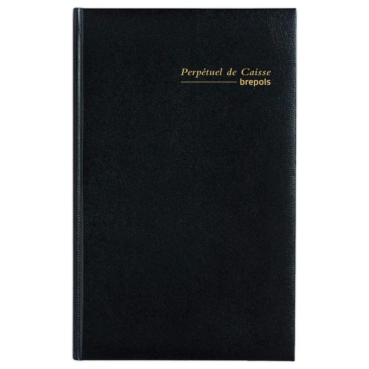 Agenda journalier perp&eacute;tuel pour recettes et d&eacute;penses - Janvier &agrave; d&eacute;cembre - 13 x 20,8 cm - Noir - BREPOLS 