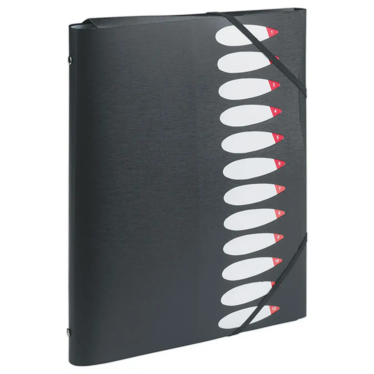 Trieur chemise - polypropyl&egrave;ne - 12 positions - noir - FIDUCIAL 
