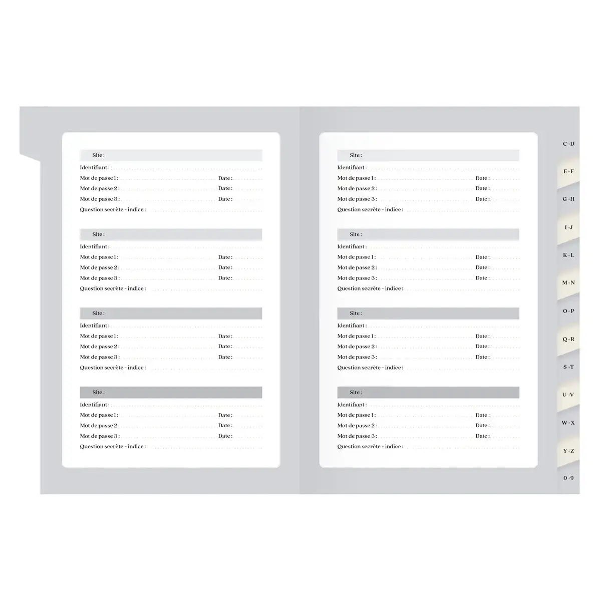 Carnet de mots de passe Grimoire - Quo Vadis