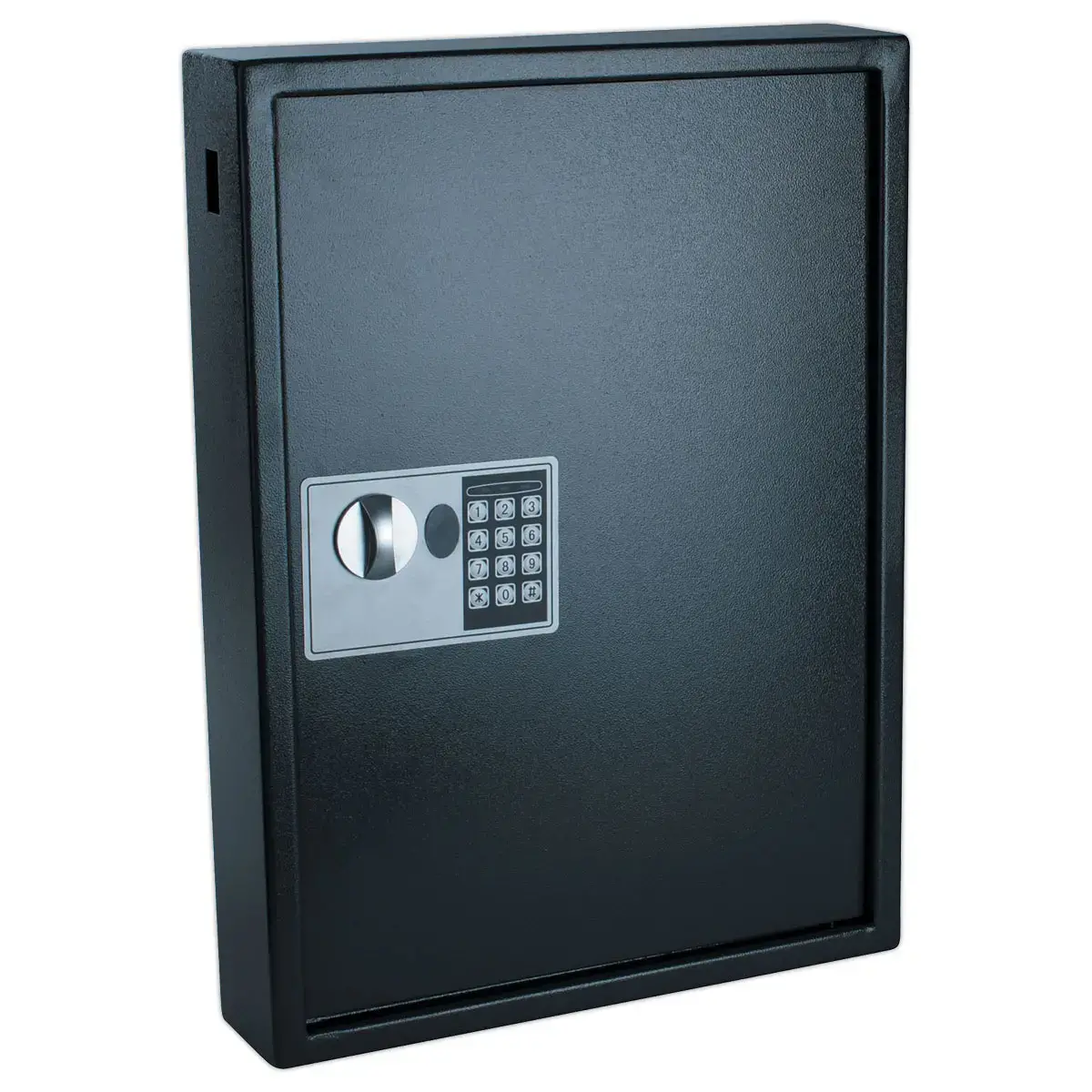 Armoire &agrave; cl&eacute; haute s&eacute;curit&eacute; 50 cl&eacute;s 