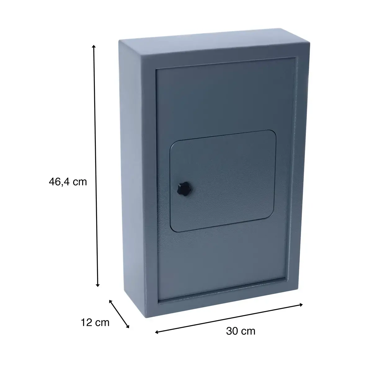 Armoire &agrave; cl&eacute; pour usage ext&eacute;rieur - 50 cl&eacute;s - PAVO 