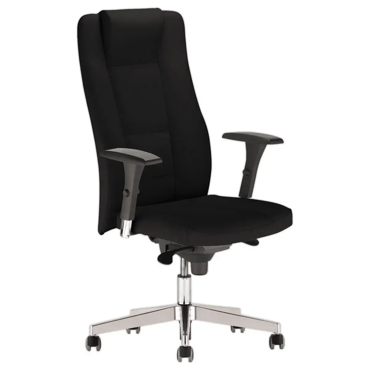 Fauteuil cuir INVITUS