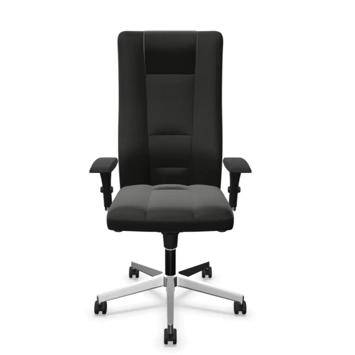 Fauteuil cuir INVITUS