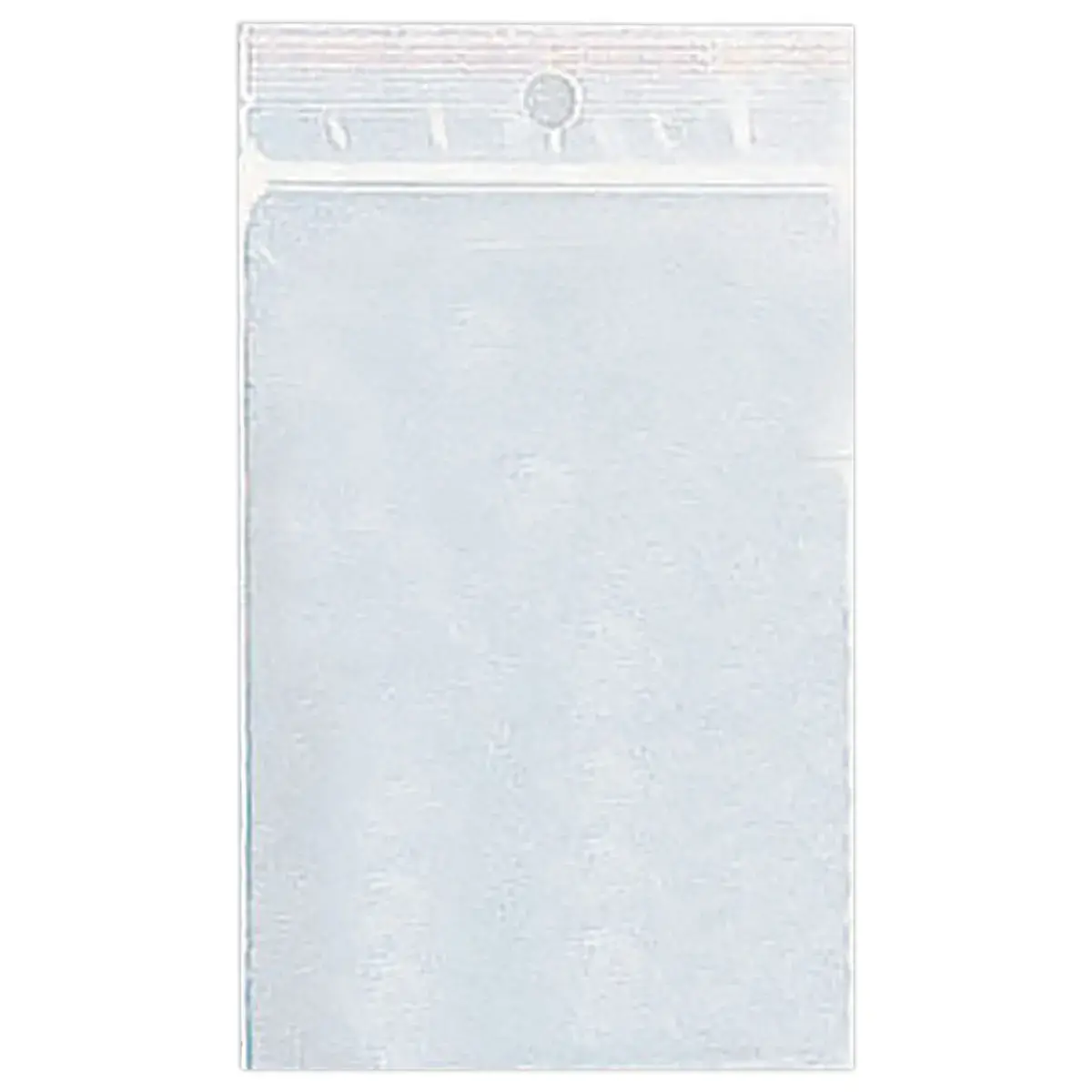 1000 Sachets plastique transparents 160 x 220 mm 