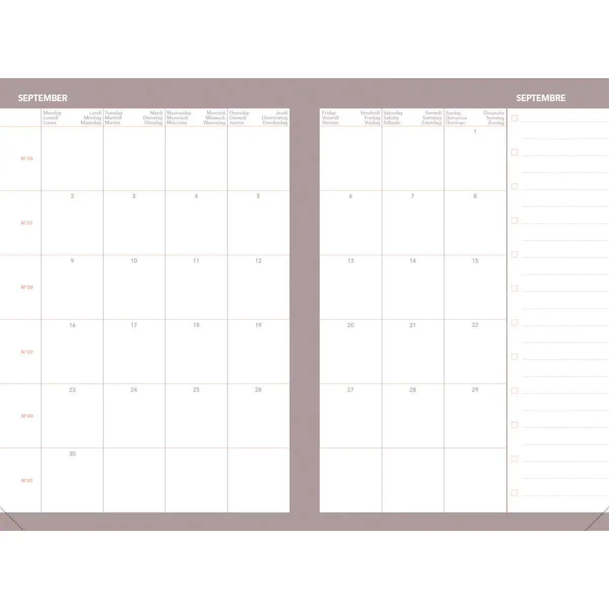 Agenda CELESTE - Ao&ucirc;t 2026 &agrave; Juillet 2027 - 10 x 15 cm - Quo Vadis 