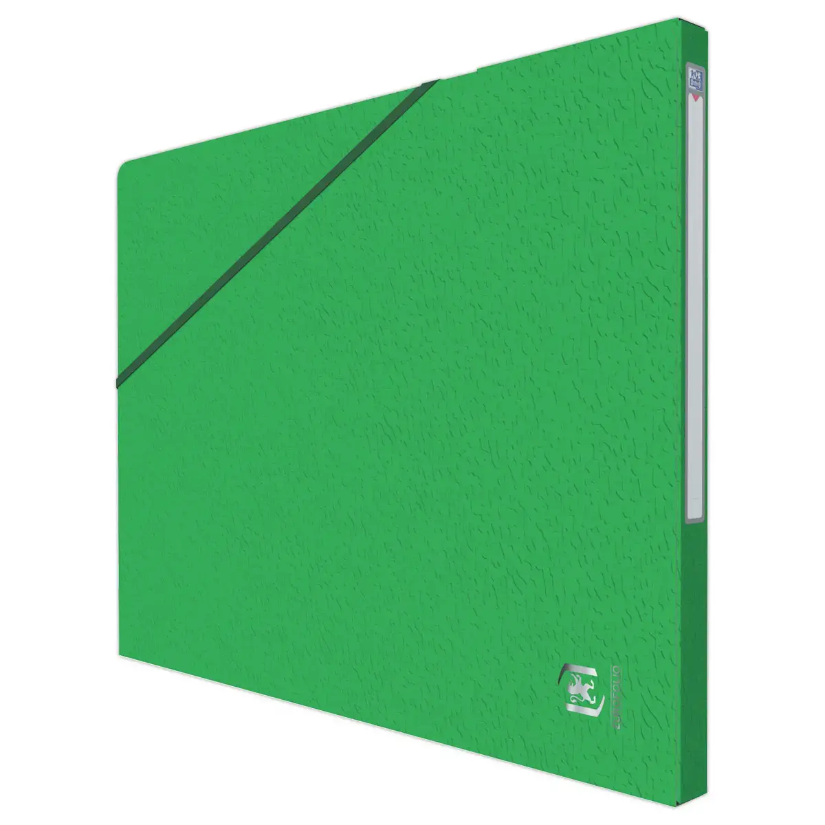 10 Chemises - Alpina - Carte lustrée - Vert - OXFORD