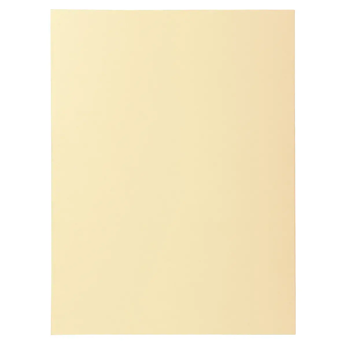 100 Chemises 24 x 32 cm Super 210 - Beige - Exacompta 
