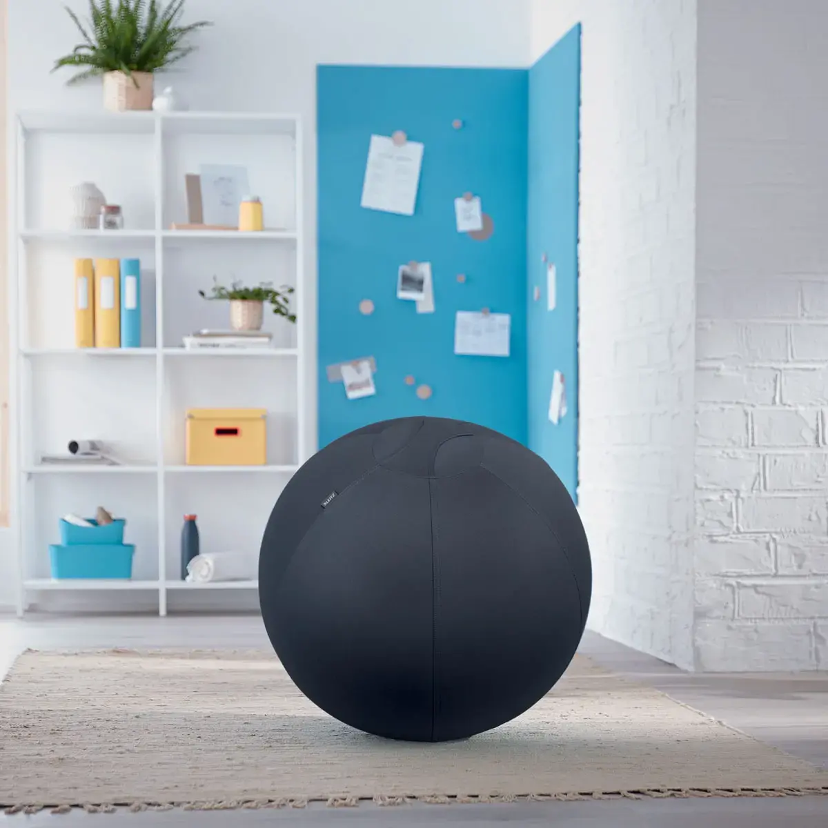 Ballon assise ergonomique Ergo Cosy Active - Ø 65 cm - Noir - Leitz
