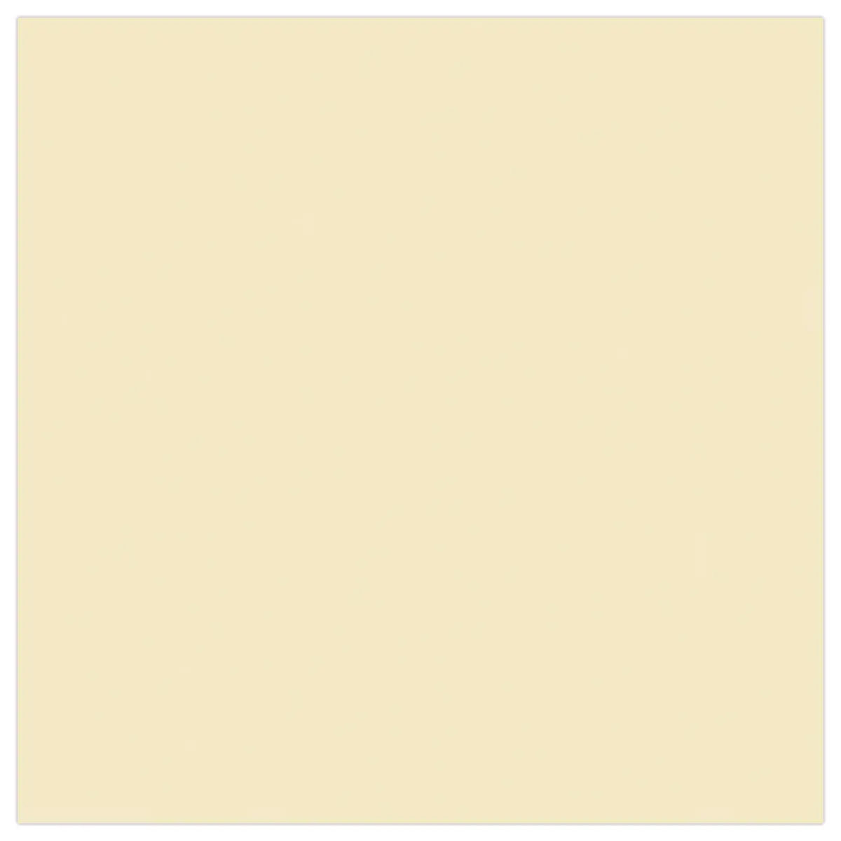125 Serviettes double &eacute;paisseur - 33x33cm - Blanc cass&eacute; - DUNI 