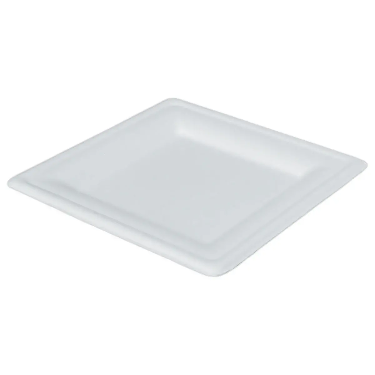 50 Assiettes biodégradables carrées 20 cm