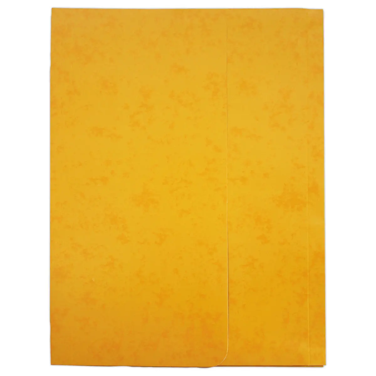 10 Chemises pochettes carte lustrée avec soufflet 250 g