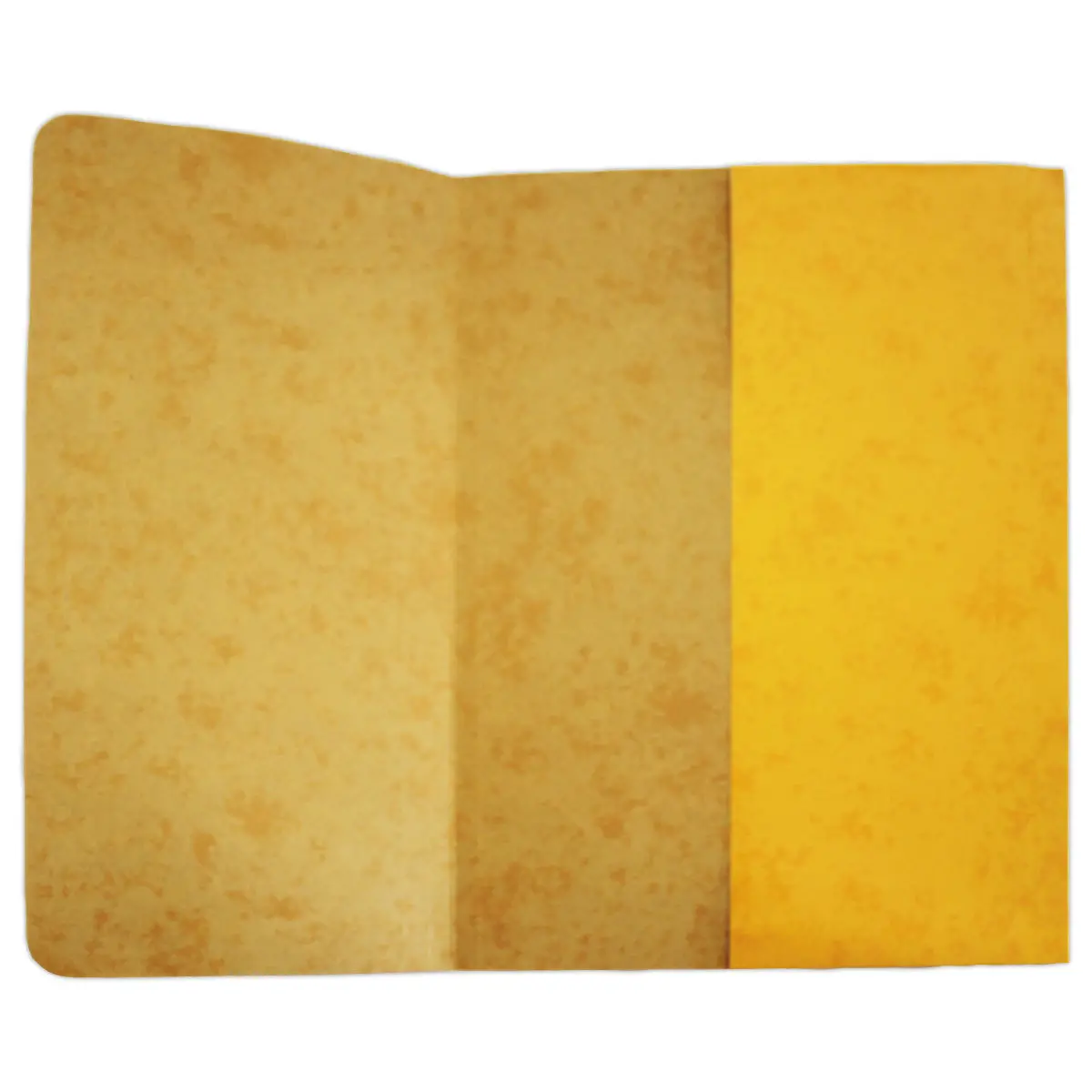 10 Chemises pochettes carte lustrée avec soufflet 250 g