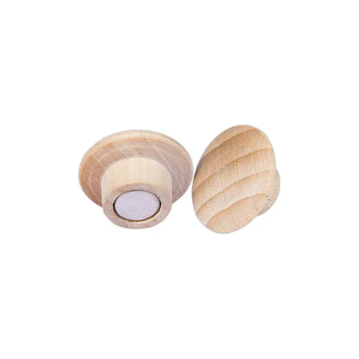 5 Aimants ronds Wooden - &Oslash; 25 mm - Bois FSC&reg; - LEGAMASTER 