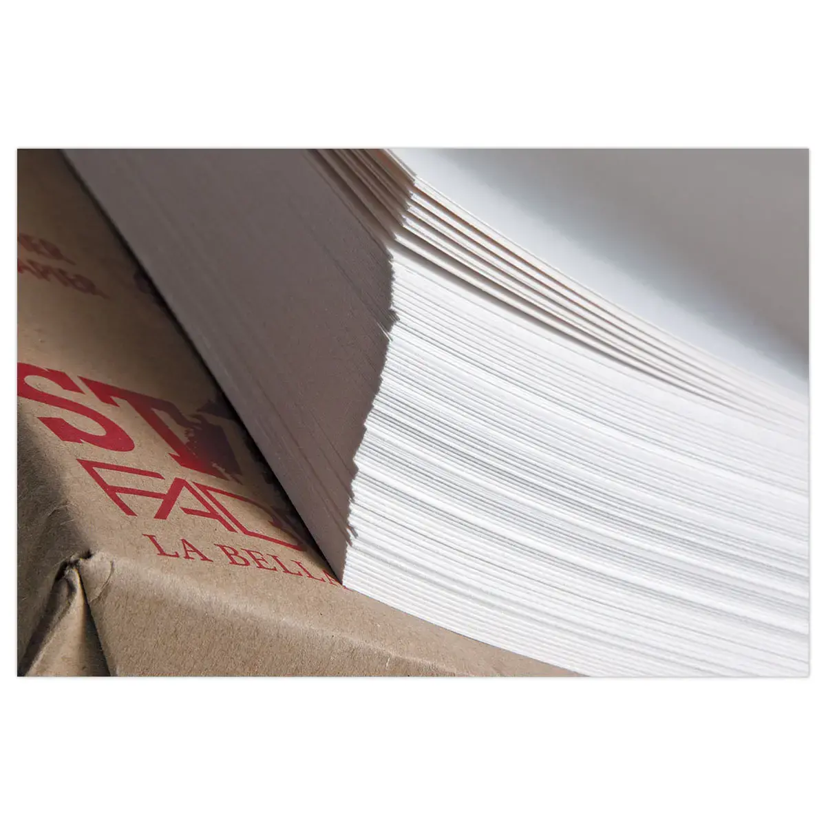 250 Feuilles de papier dessin blanc format24 X 32 cm - 120 g 
