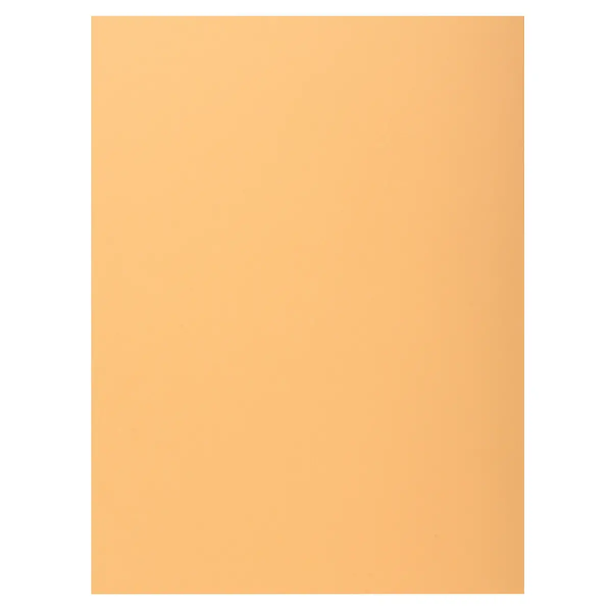 100 Chemises 1 rabat 160 g carte qualit&eacute; sup&eacute;rieure PEFC - couleurs pastel 