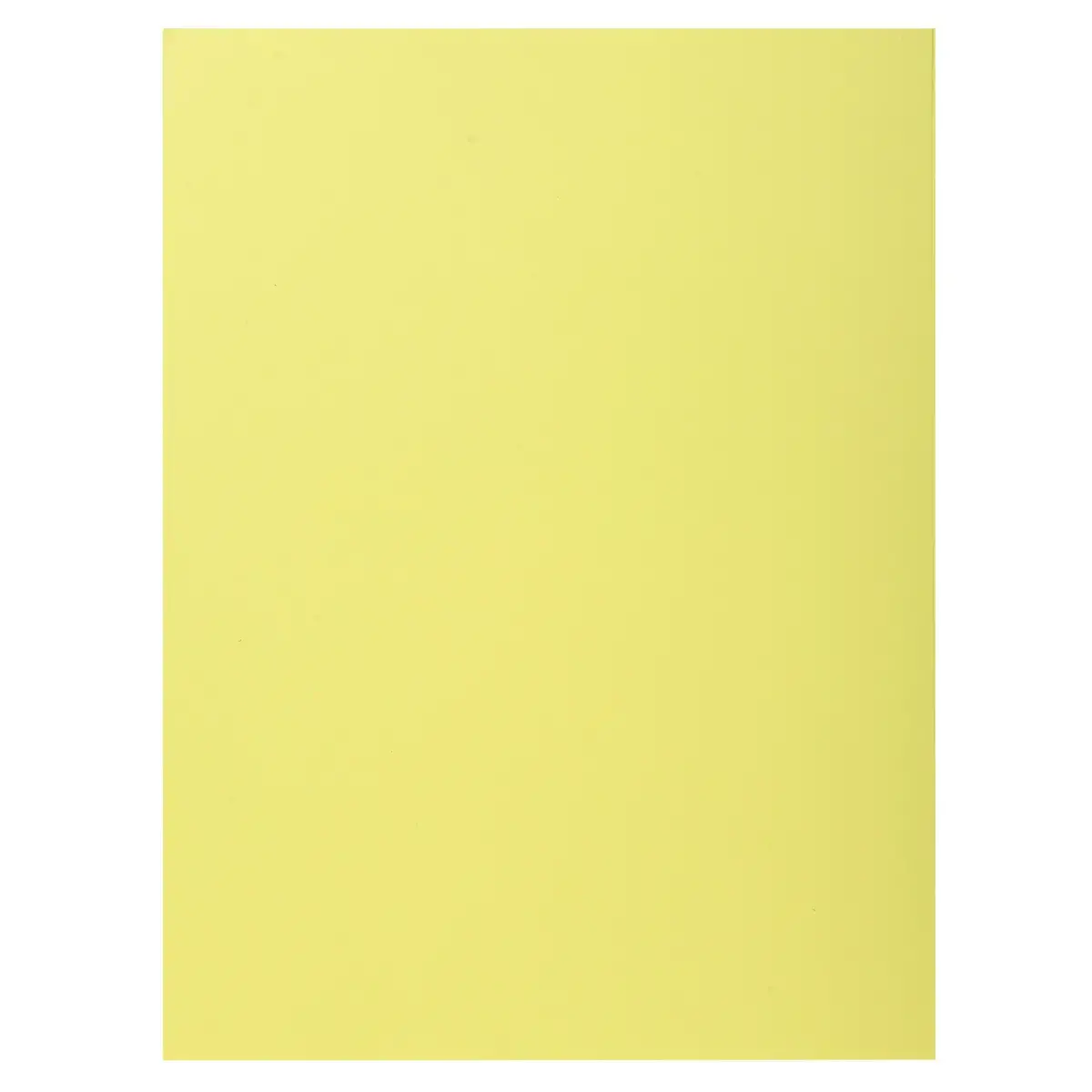 100 Chemises 1 rabat 160 g carte qualité supérieure PEFC - couleurs pastel