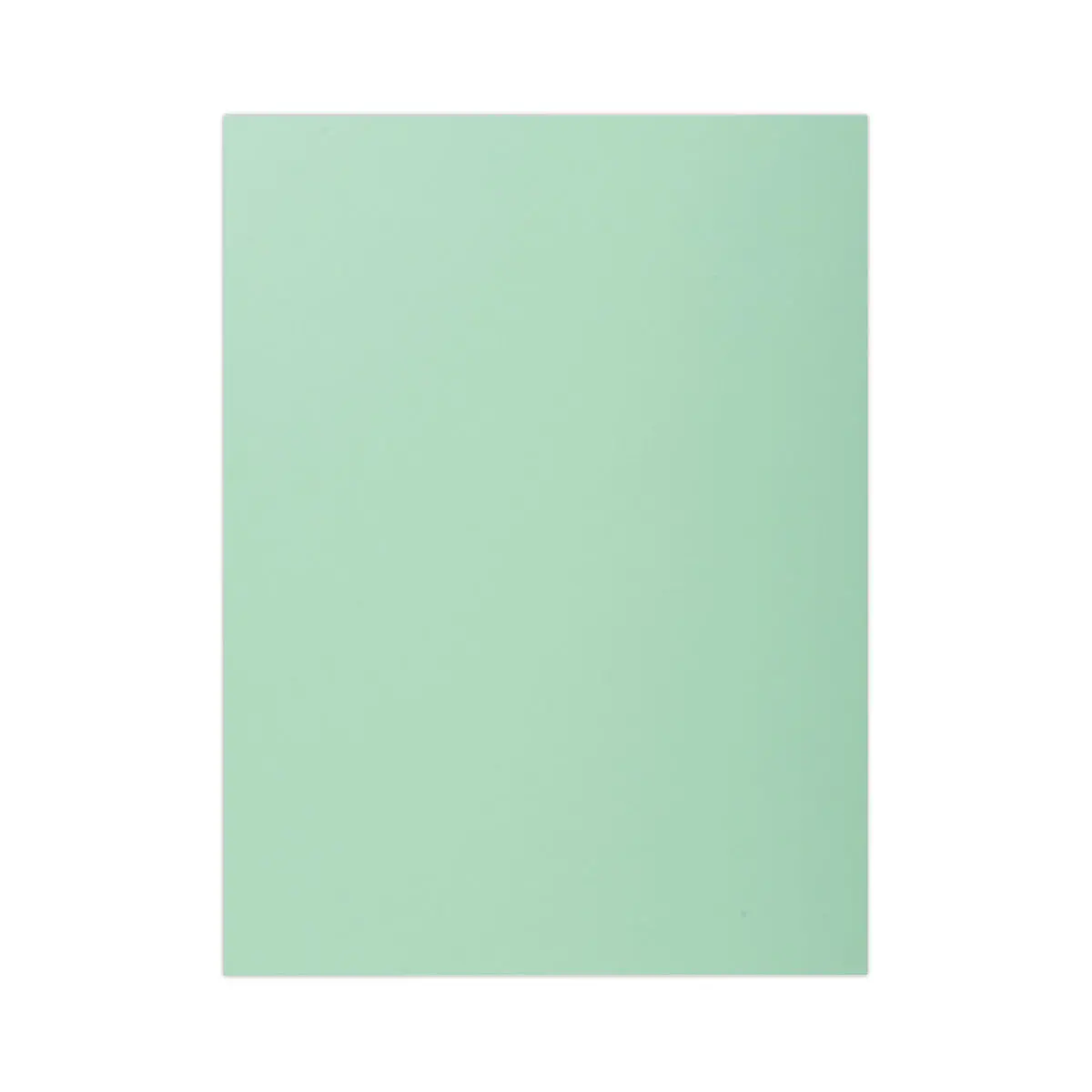100 Chemises 1 rabat 160 g carte qualit&eacute; sup&eacute;rieure PEFC - couleurs pastel 