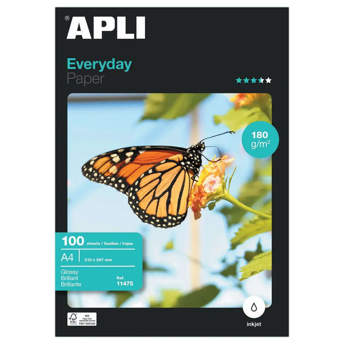 100 Feuilles de papier photo APLI Everyday format A4 180 g brillant