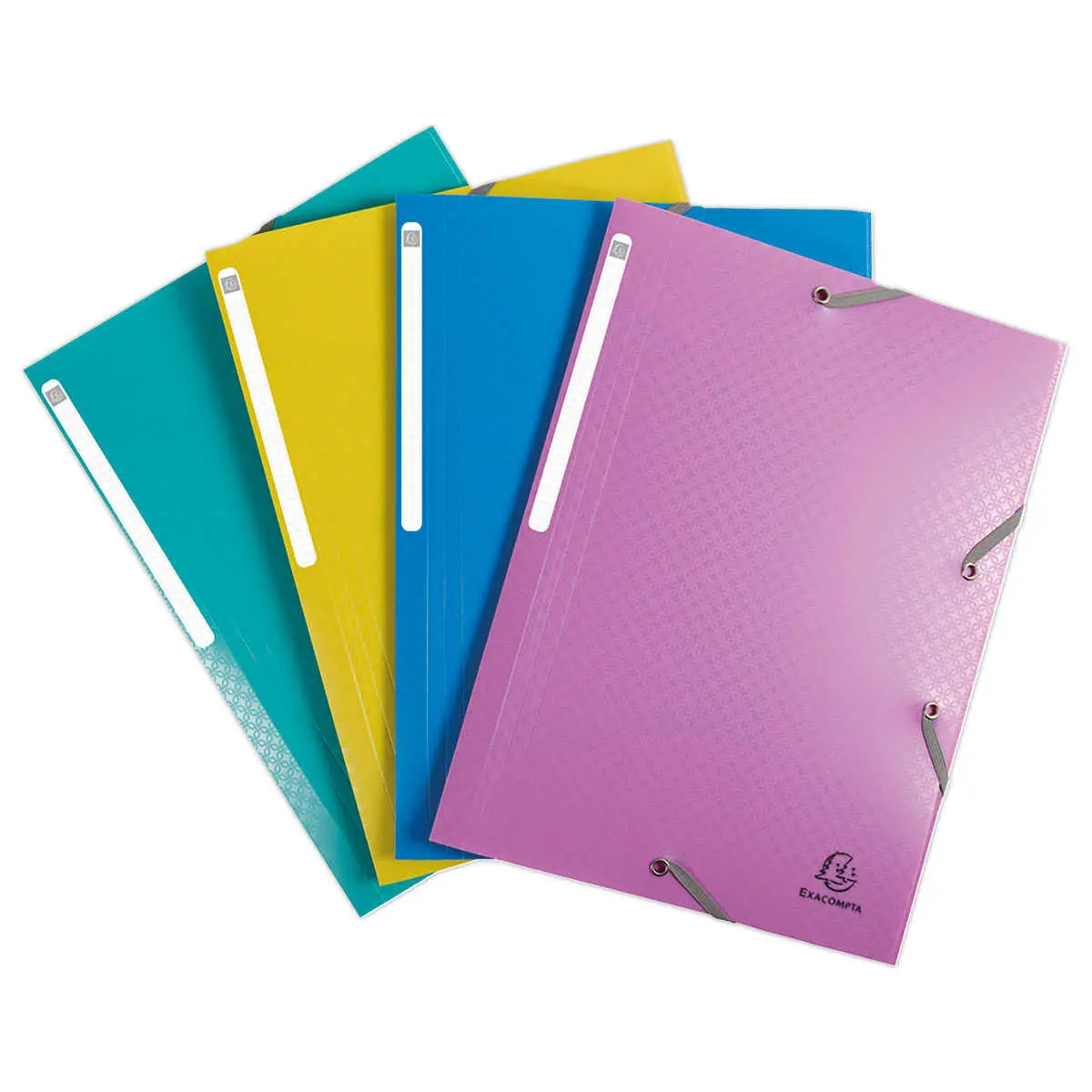 4 Chemises &agrave; &eacute;lastiques 3 rabats - PP Forever Young - assortis - EXACOMPTA 