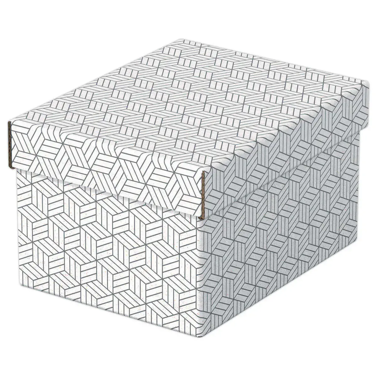 3 Boîtes de rangement Home - Taille S - Blanc - ESSELTE
