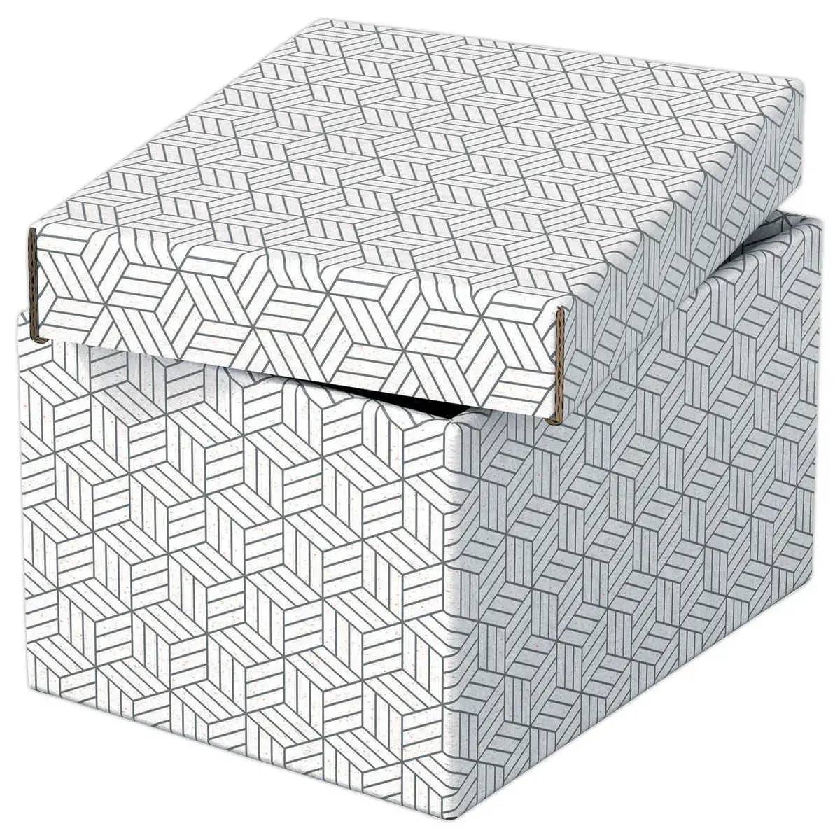 3 Boîtes de rangement Home - Taille S - Blanc - ESSELTE