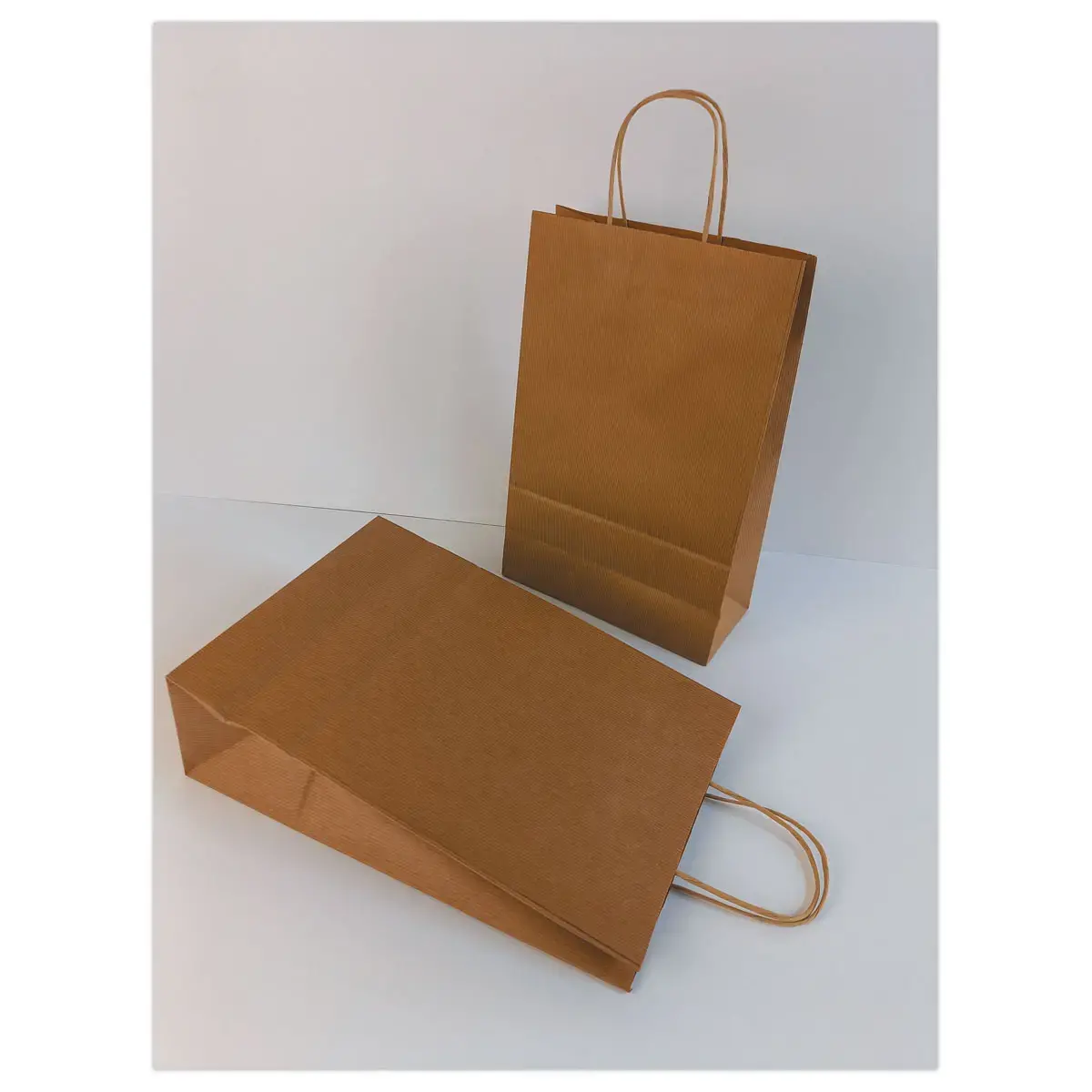 200 Sac poignées torsadées format Moyen : 22 x 33 x 10 cm- Naturel