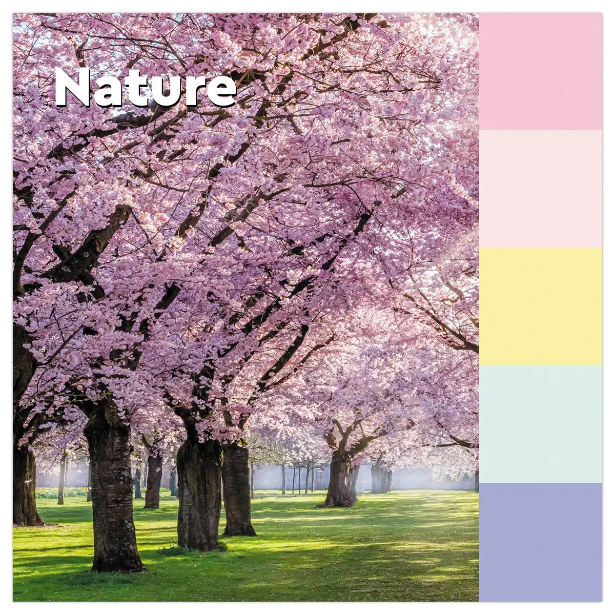 16 Blocs notes repositionnables recycl&eacute;es - 76x 76 mm - Couleurs assorties - Post-It 