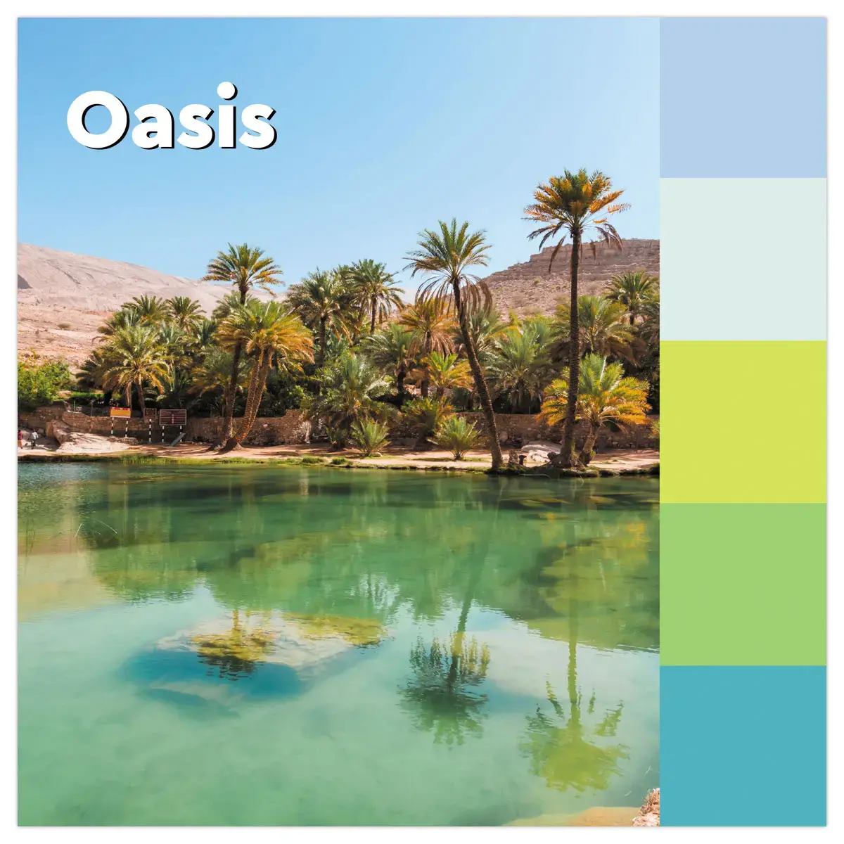 5 Notes Super Sticky Collection Oasis, 76 x 127 mm