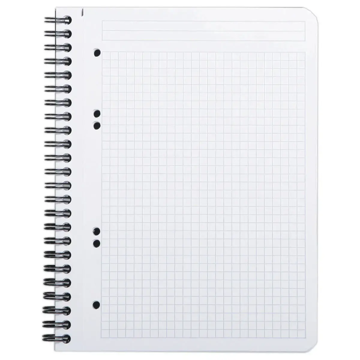 Cahier polypropylène - 160 pages A5+ 5x5 - RHODIA