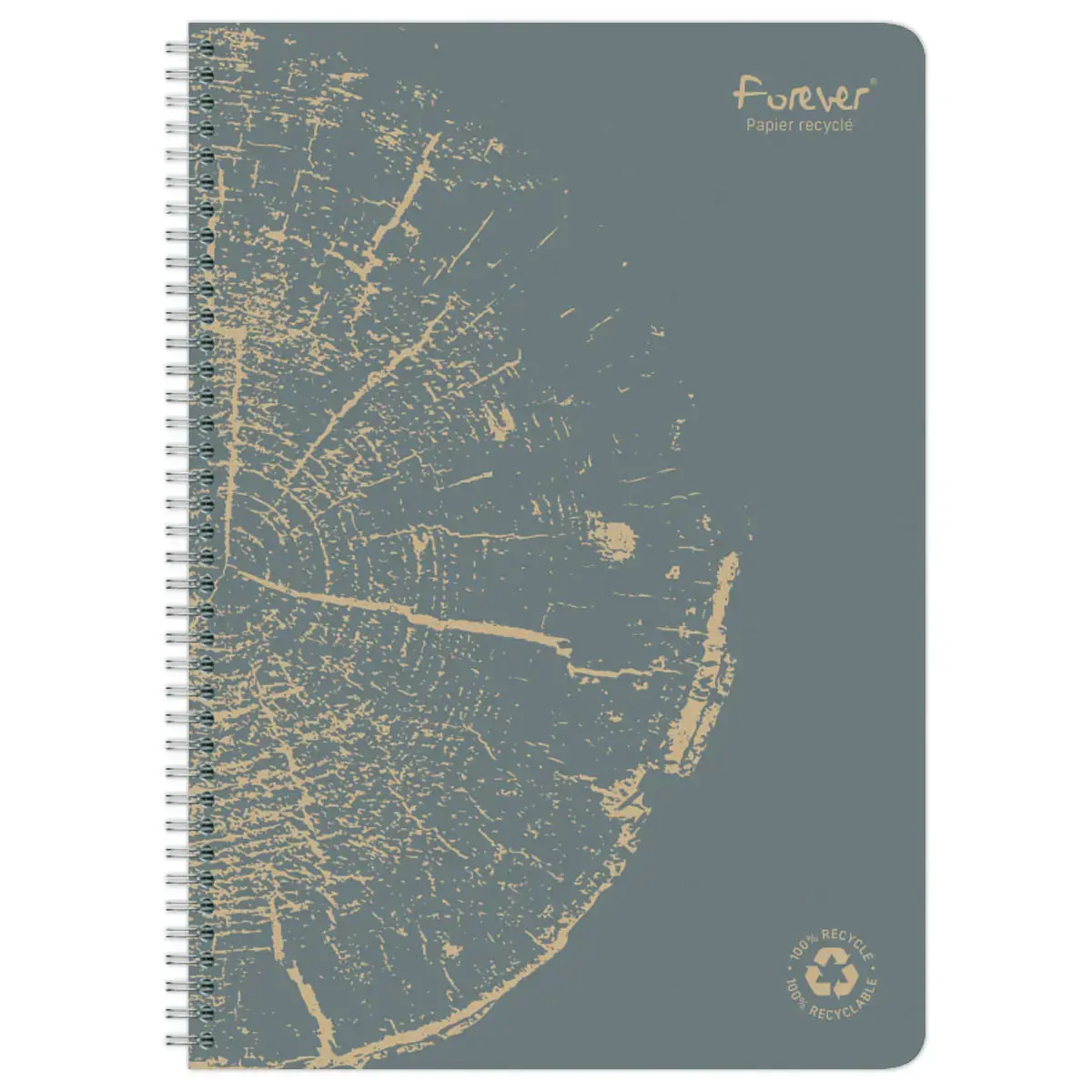 Cahier recyclé à spirales pages A4 ligné.
