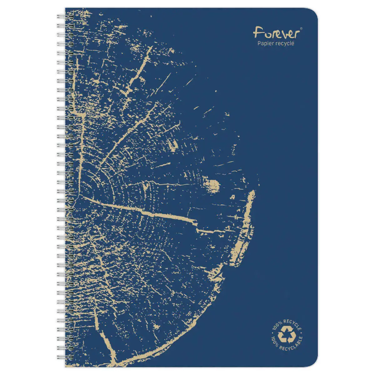 Cahier recyclé à spirales pages A5 5x5.