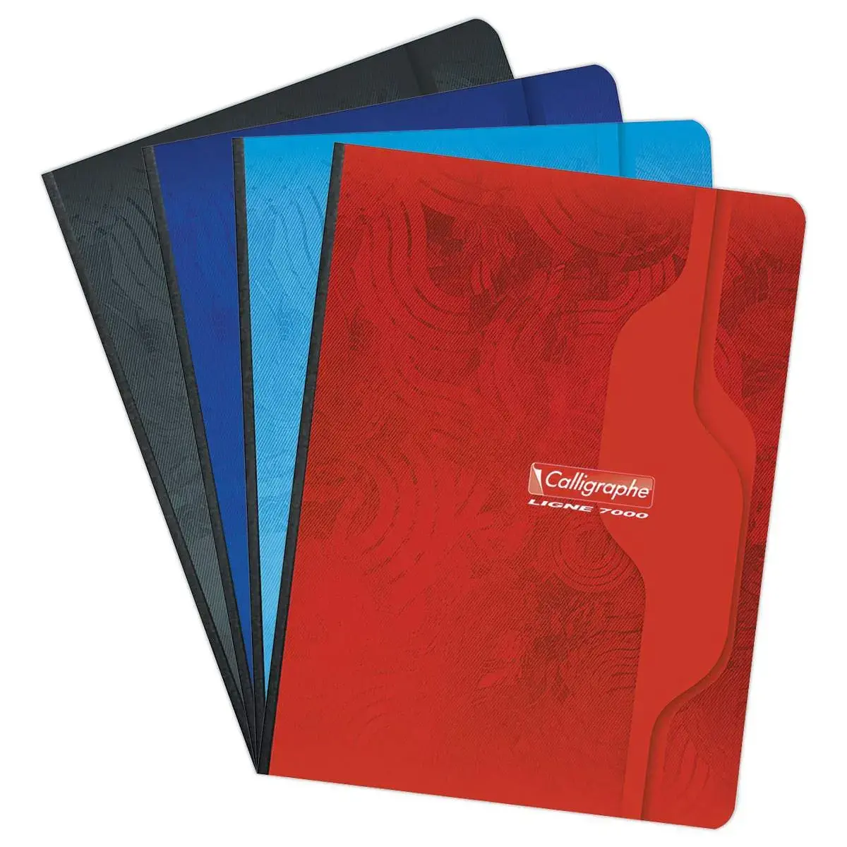 Cahier brochure 70g - 17x22cm - 5x5 -192 pages - CALLIGRAPHE