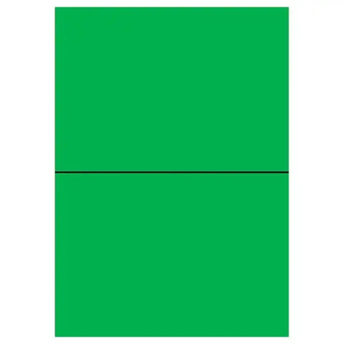 100 Planches d'étiquettes L210xH148,5 mm 200 étiq/ boîte, vert vif