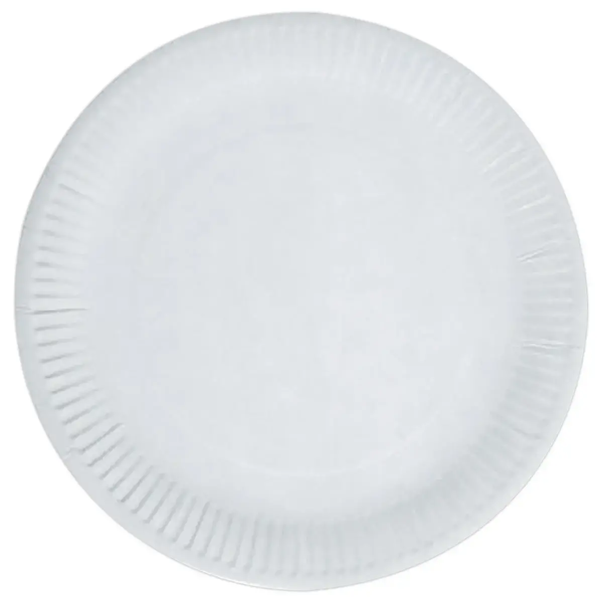 100 Assiettes en carton - 23 cm de diam&egrave;tre 