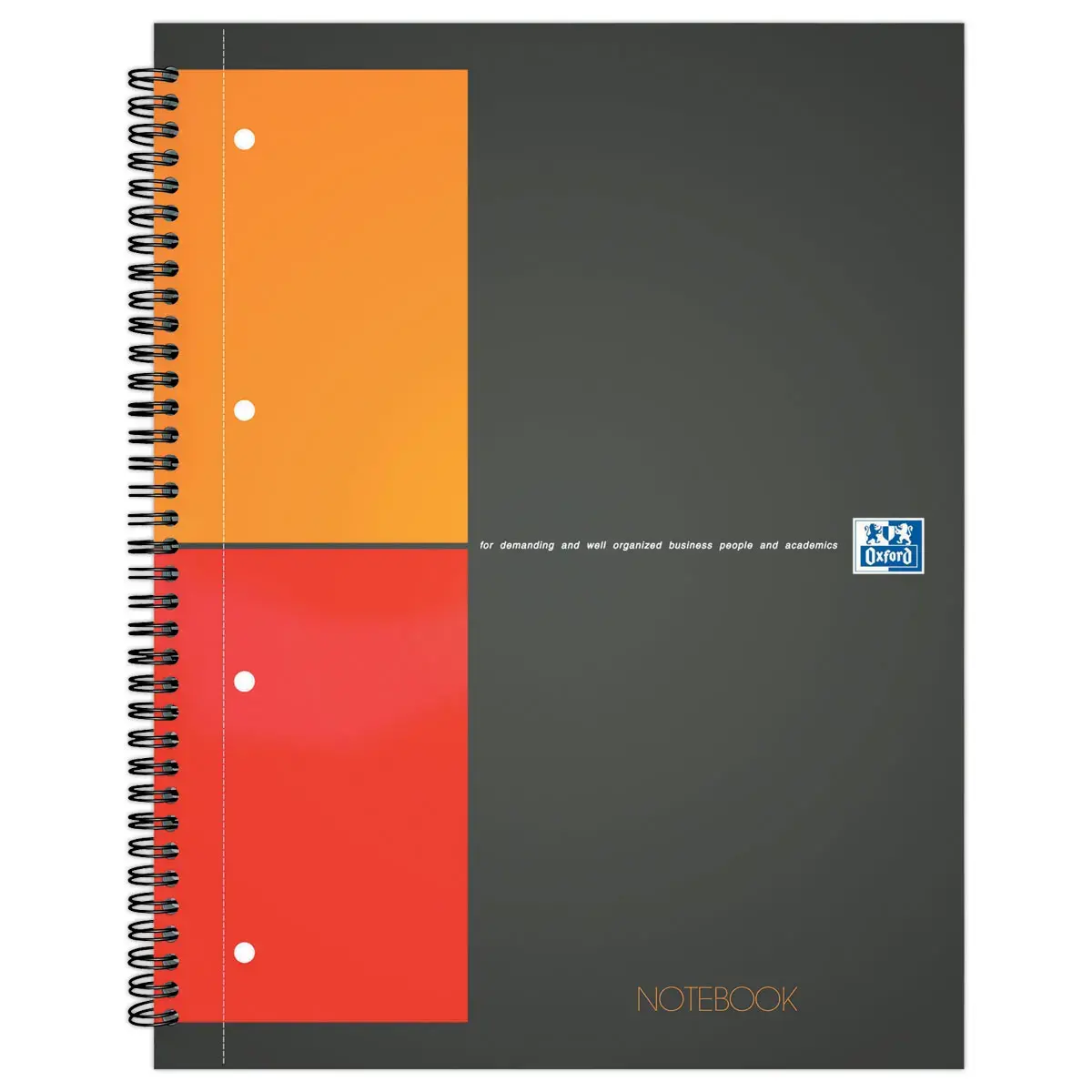 Cahier A4+ Notebook OXFORD International - 5x5 - 80g
