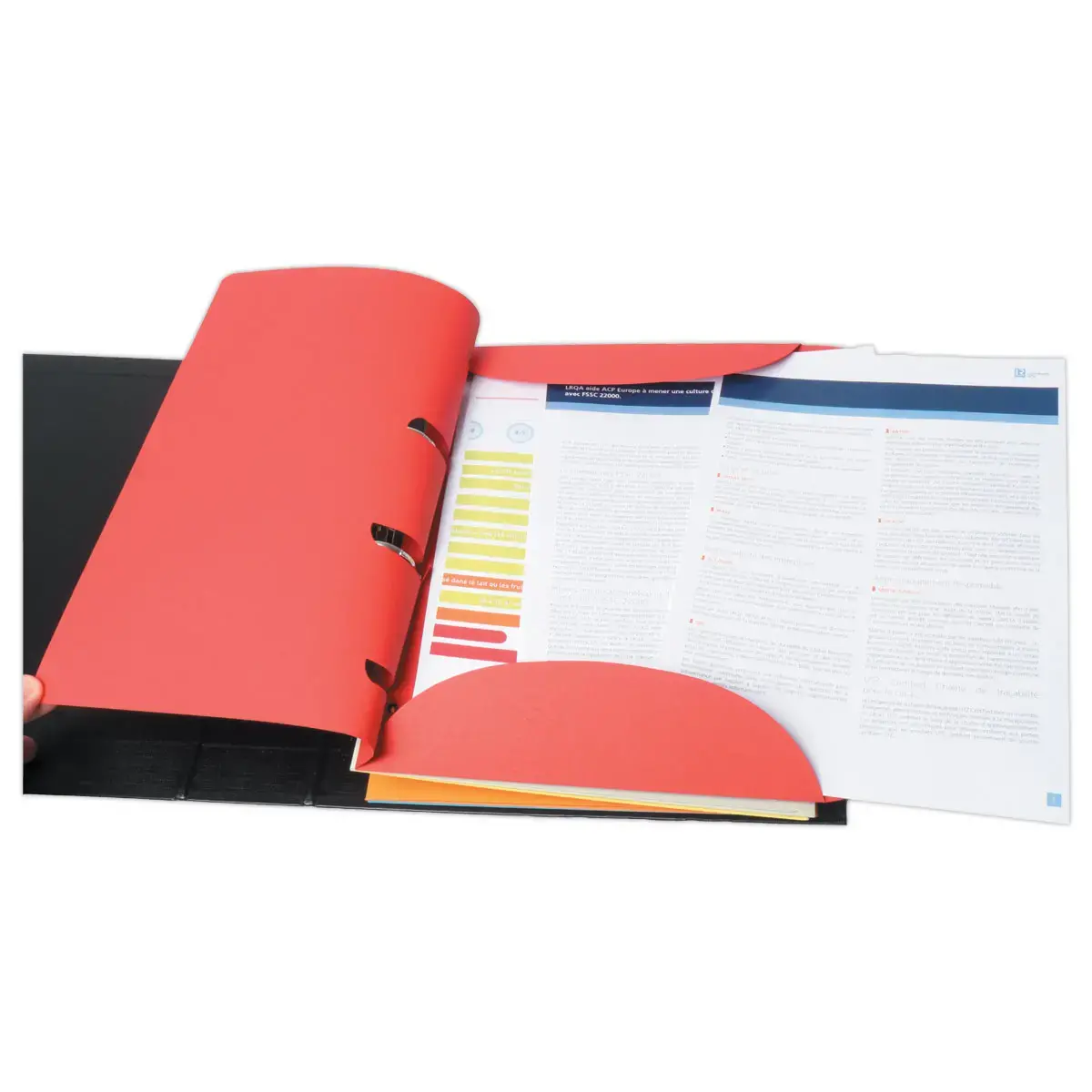 6 chemises smartfolder tree free - Assortis 