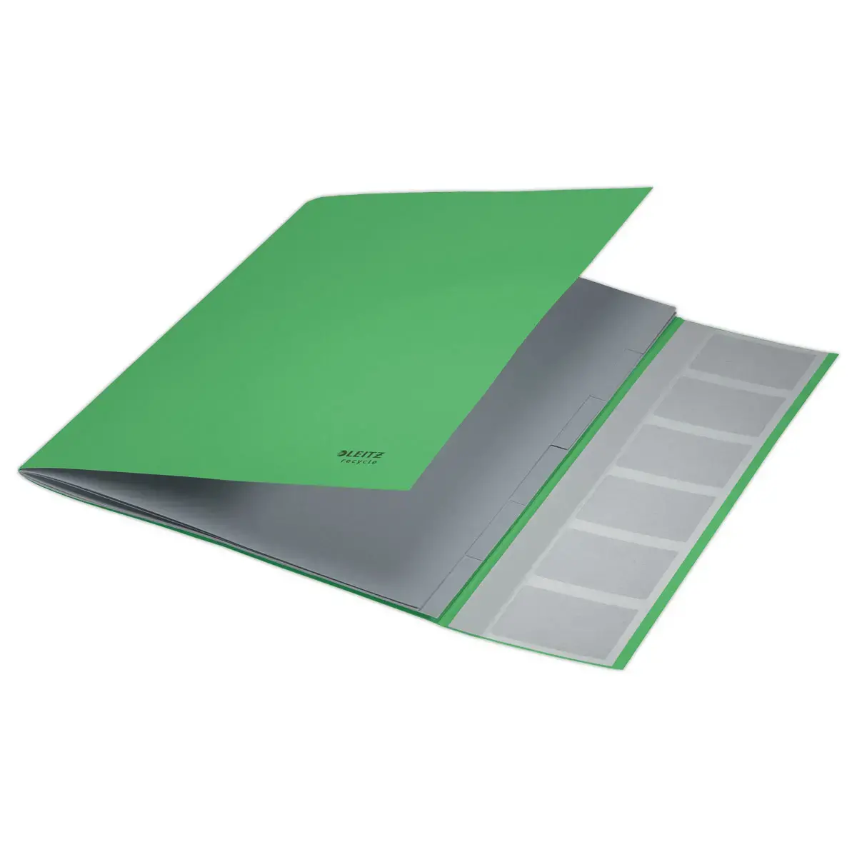 Trieur avec élastiques - 6 touches- 100% recyclé - vert - LEITZ