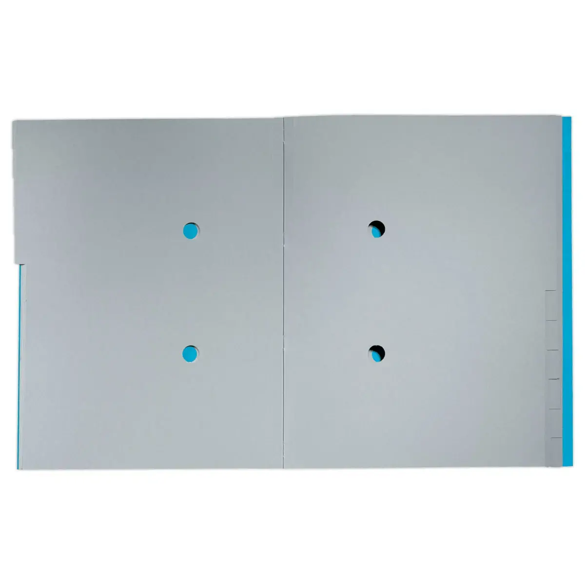Trieur avec &eacute;lastiques  12 touches - 100% recycl&eacute; - Bleu - LEITZ 