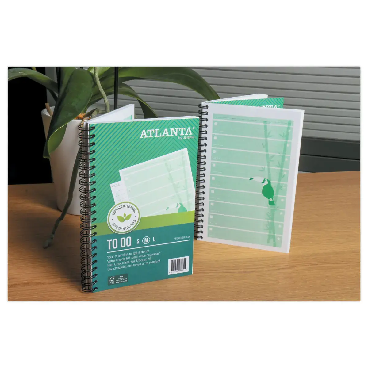 Carnet Atlanta " To do " - 19,5 x 12,5 cm - Vert - Djois