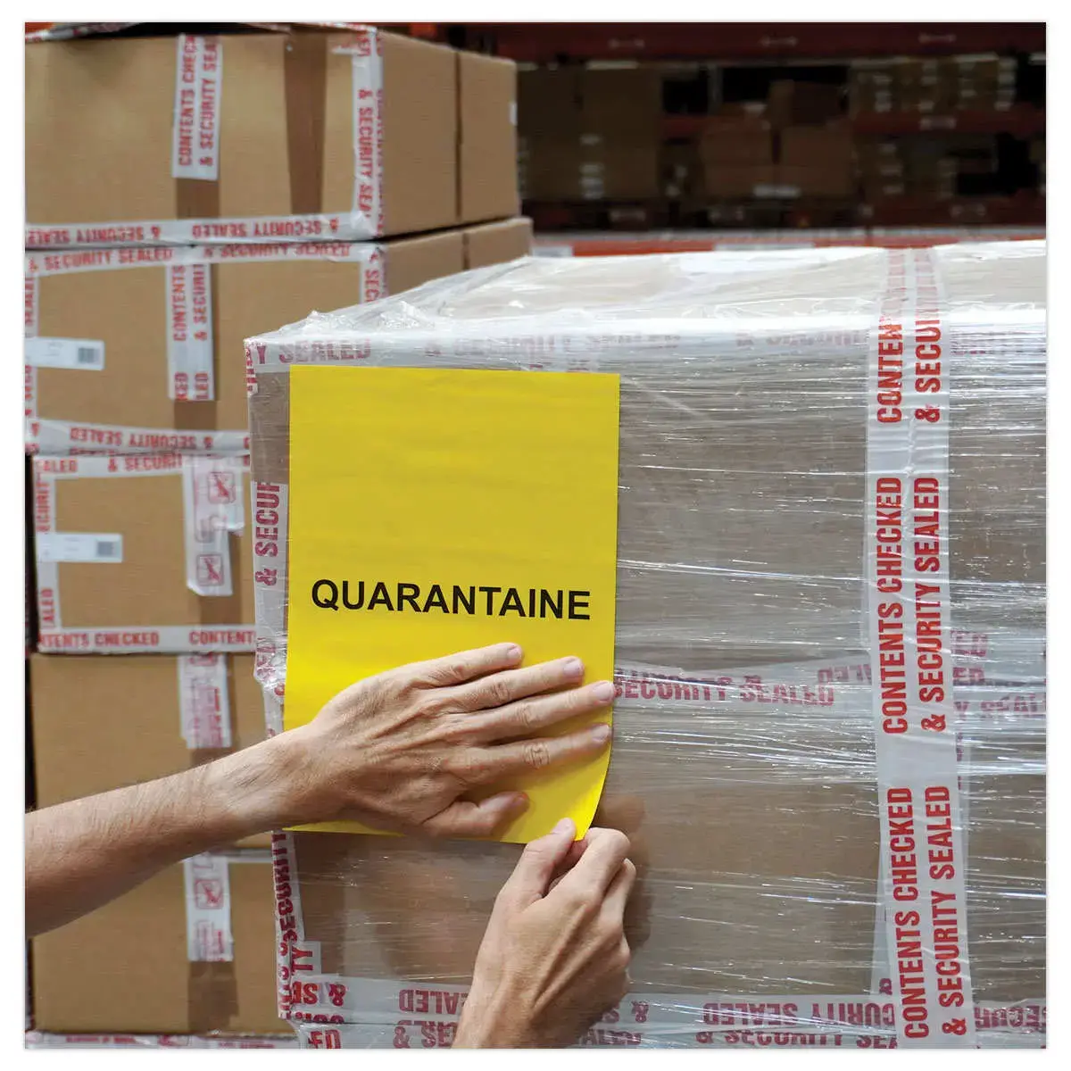 50 étiquettes L210xH297 mm Office Star jaunes