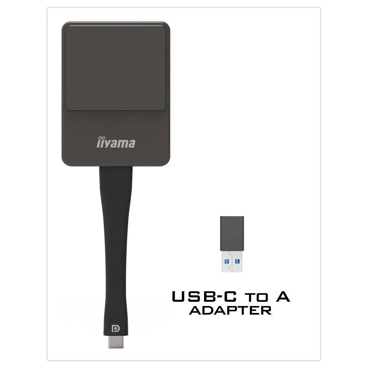 Solution de partage d'écran sans fil WP D002C - IIYAMA