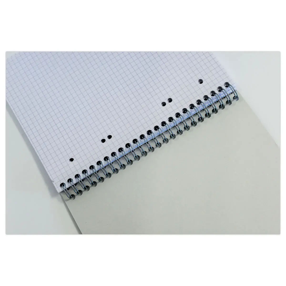 Cahier spirale 70g - A5+ 5x5 - 160 pages - FIDUCIAL
