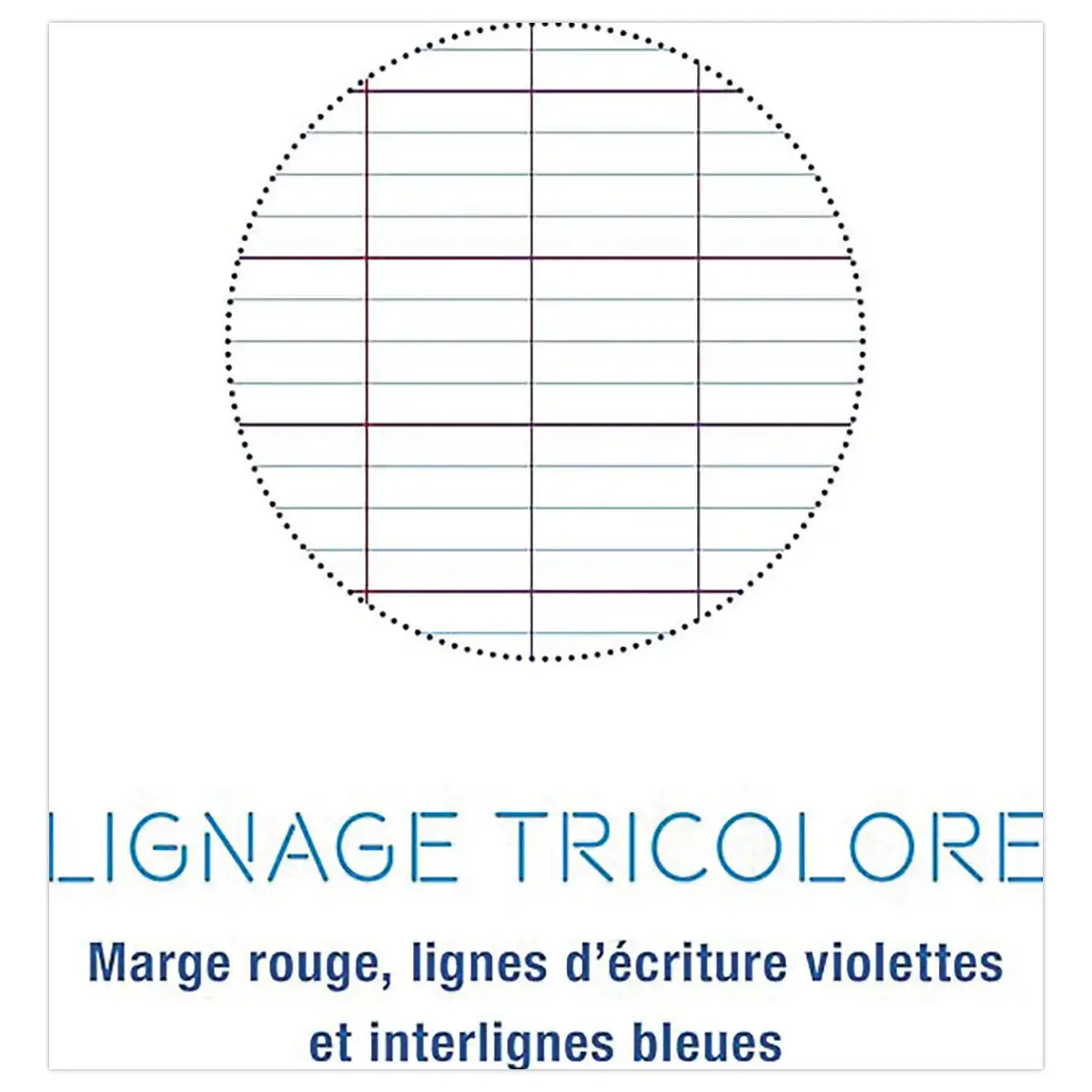 Cahier spirale 160p KOVERBOOK A4+ 22,9x29,7cm SEYES perfo 4 trous