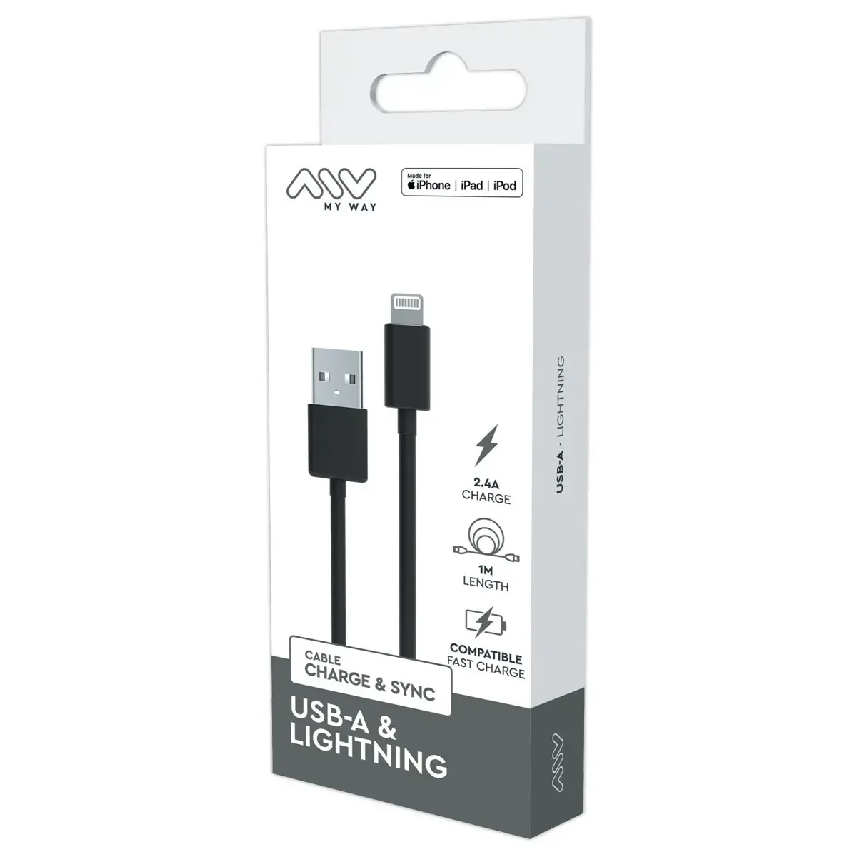 Câble USB-A Lightning 1m Noir