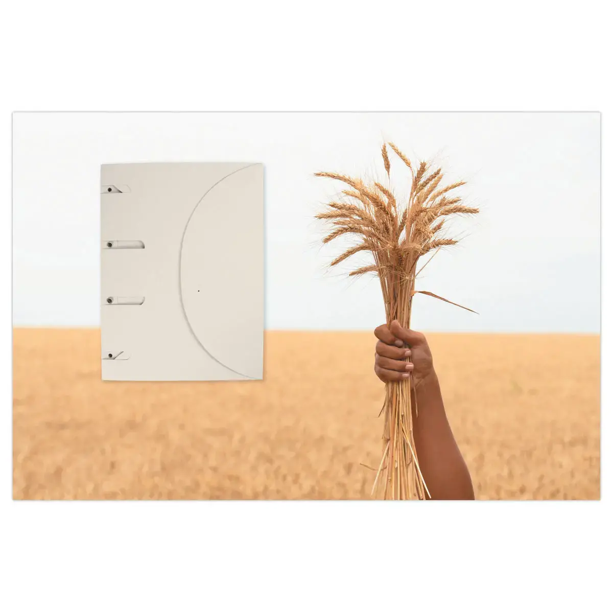 10 Chemise Smartfolder Uno Tree-free DJOIS - Beige