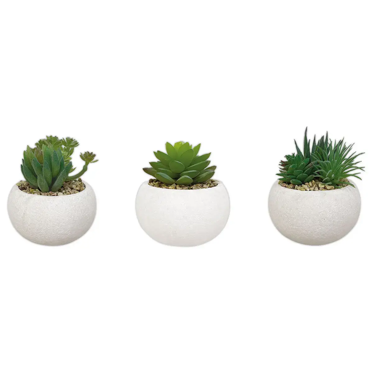 3 plantes succulentes artificielles 